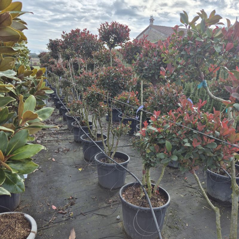 Click on the picture to zoom