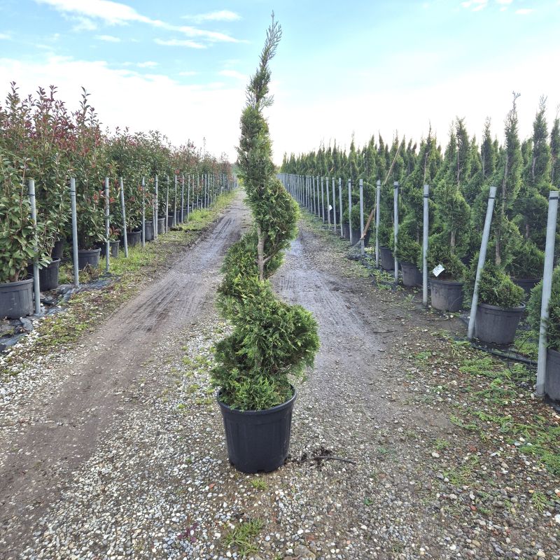 Click on the picture to zoom