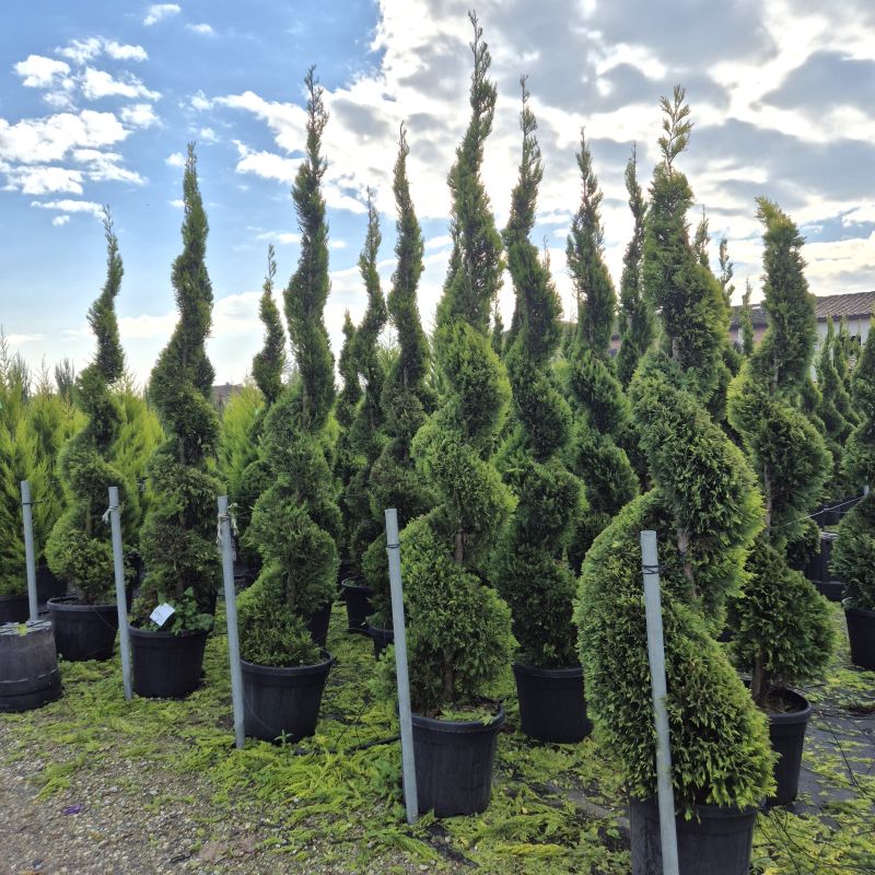 Click on the picture to zoom