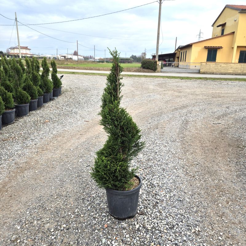 Click on the picture to zoom