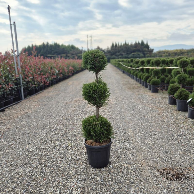 Cliquez sur la photo pour visualiser la présentation