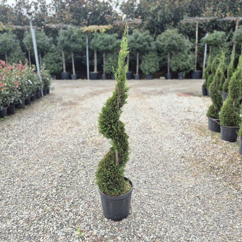 Cliquez sur la photo pour visualiser la présentation