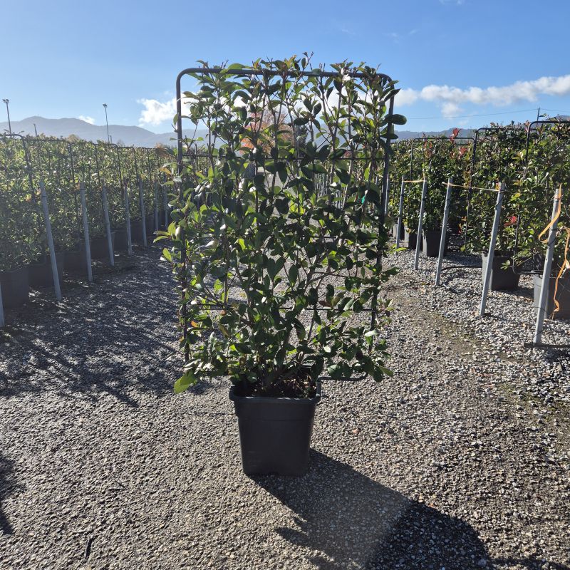 Cliquez sur la photo pour visualiser la présentation