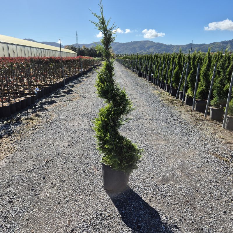 Click on the picture to zoom