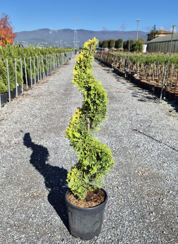 Click on the picture to zoom