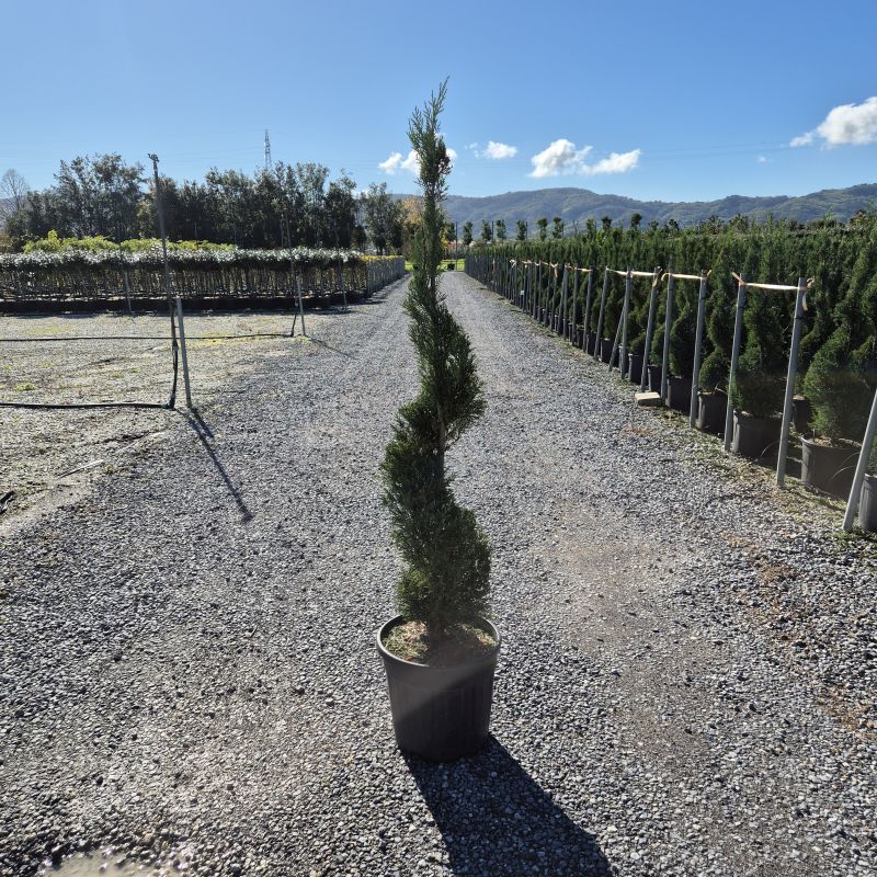 Click on the picture to zoom