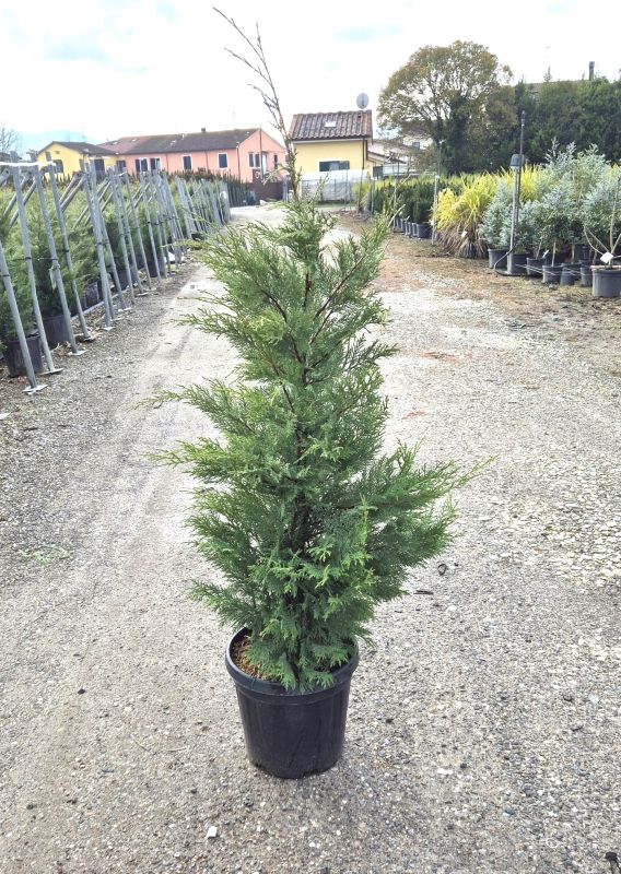 Cliquez sur la photo pour visualiser la présentation