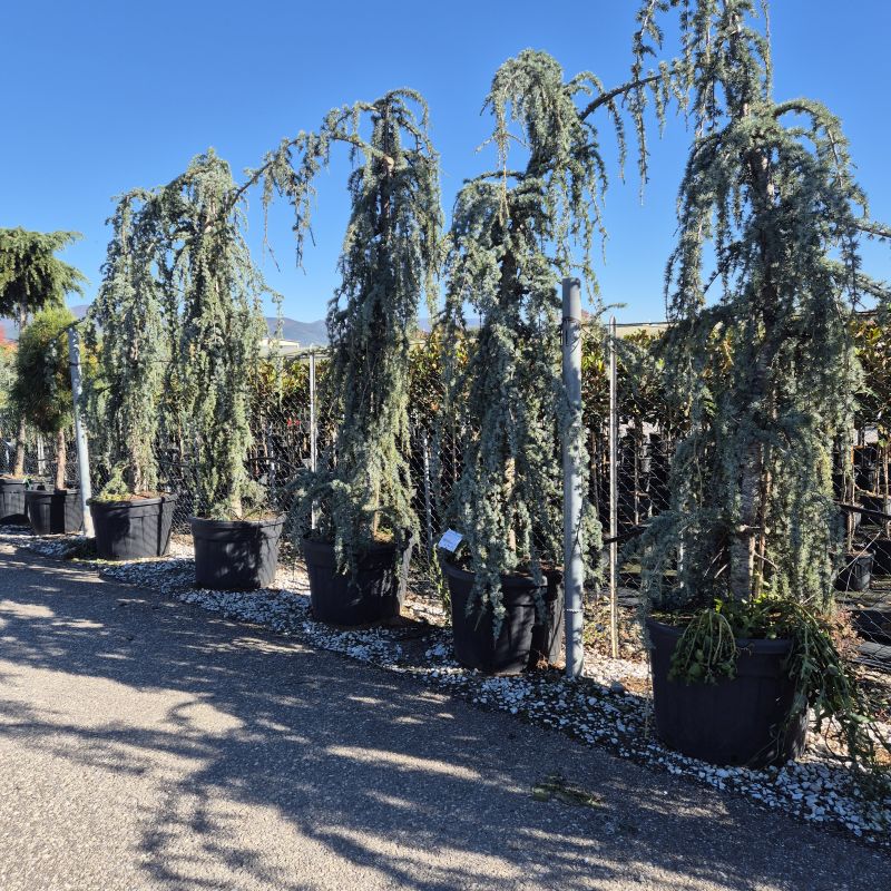 Cliquez sur la photo pour visualiser la présentation