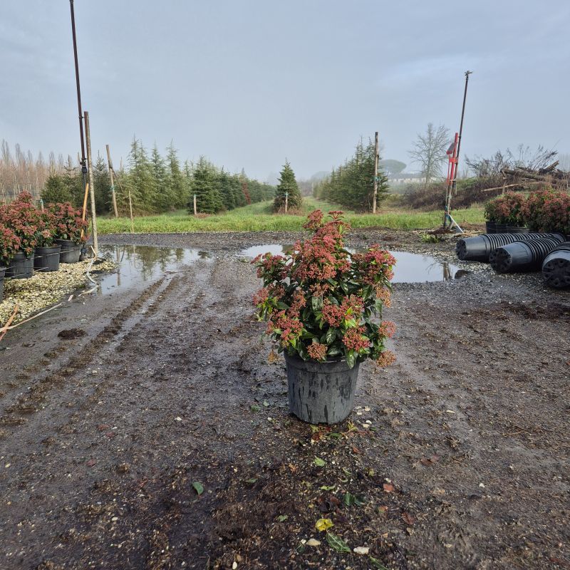 Click on the picture to zoom