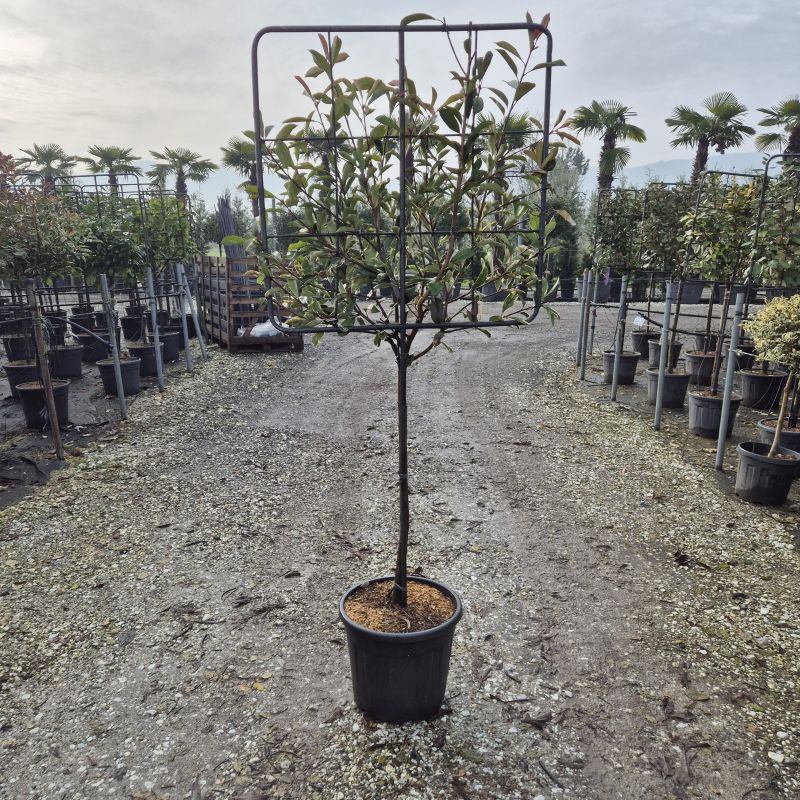 Click on the picture to zoom