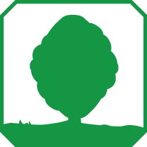 Tipologia Pianta: GRANDE ARBUSTO O PICCOLO ALBERO